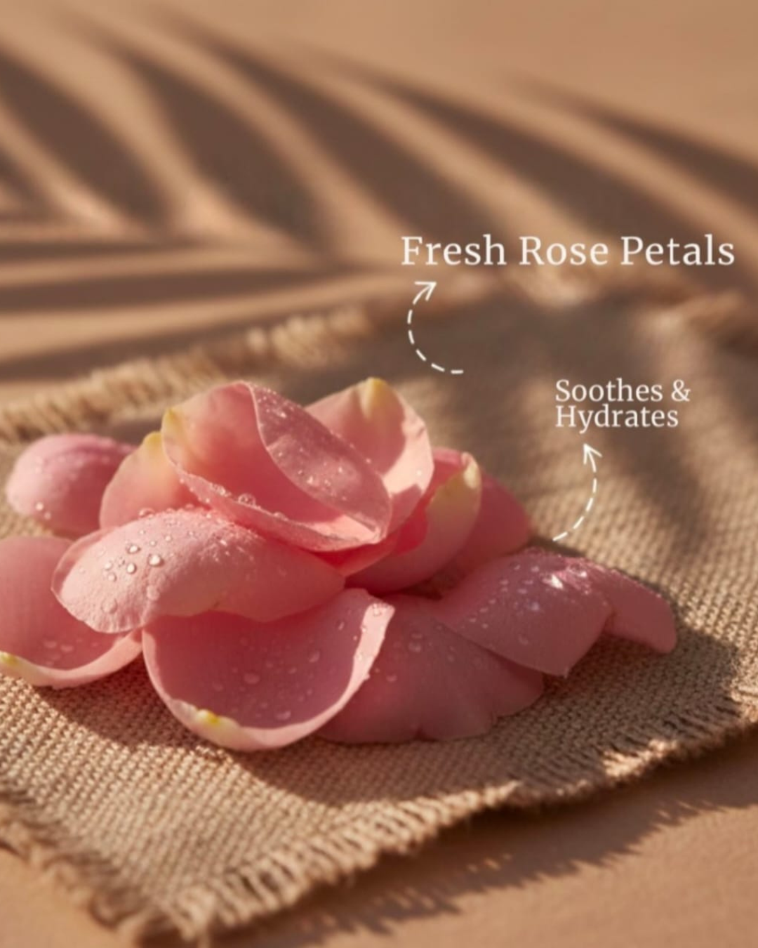 Rose Bare dew