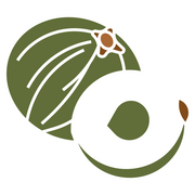 Amla (Indian Gooseberry)