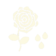 Fresh Rose Petals