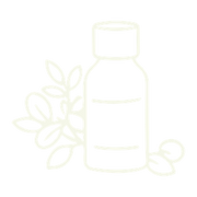 Rosehip Oil