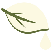 Tea Tree Essential Oil