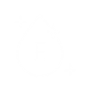 Vitamin E