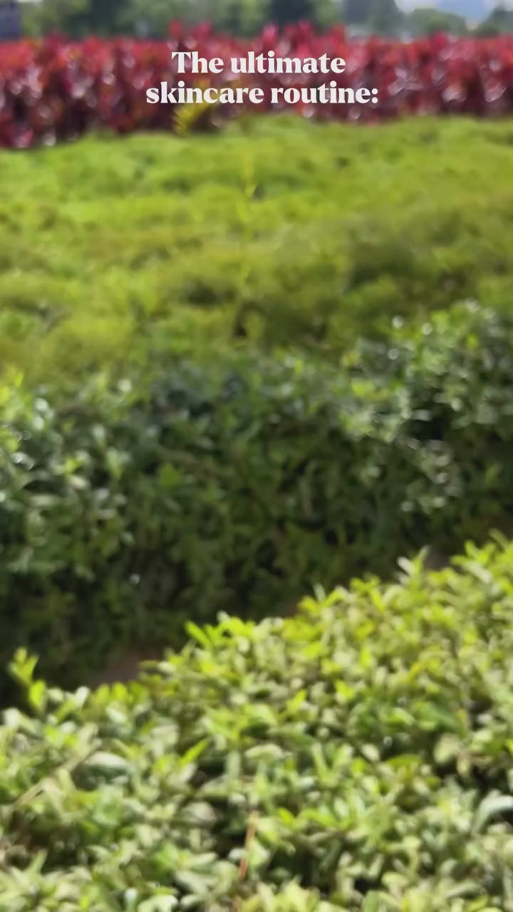 Bare & Butter botanicals video 2